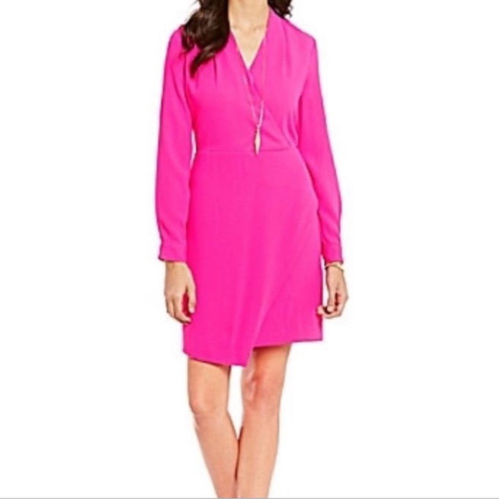 Cremieux Hot Magenta/Pink Dress